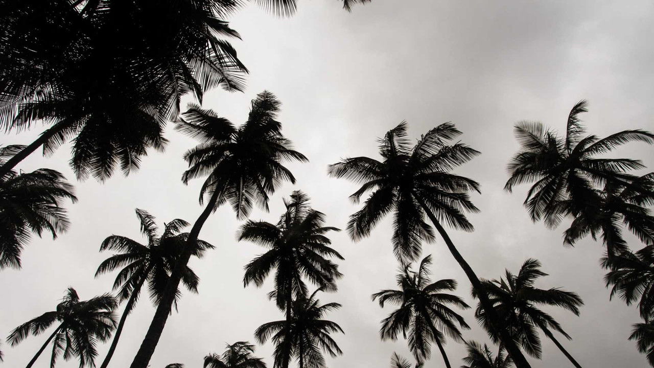 Freelancing in Liberia | Rivermate